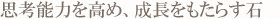 思考能力を高め、成長をもたらす石