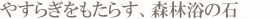 やすらぎをもたらす、森林浴の石