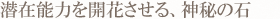潜在能力を開花させる、神秘の石